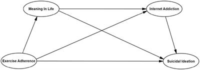 Exercise adherence and suicidal ideation of Chinese college students: a chain mediation model test